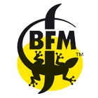 More about bfm